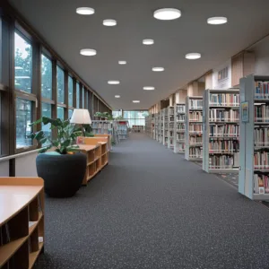 Steorra library