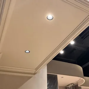 acorn downlight