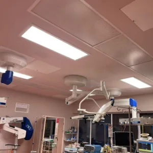 lowcroft in lewisham hospital