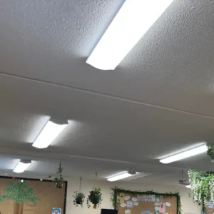 waldron linear light