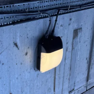 tontine light