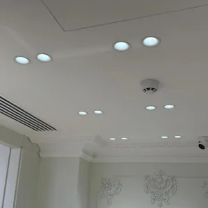 acorn downlights by Trojan Lighting