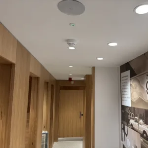 Mallard emergency spotlight